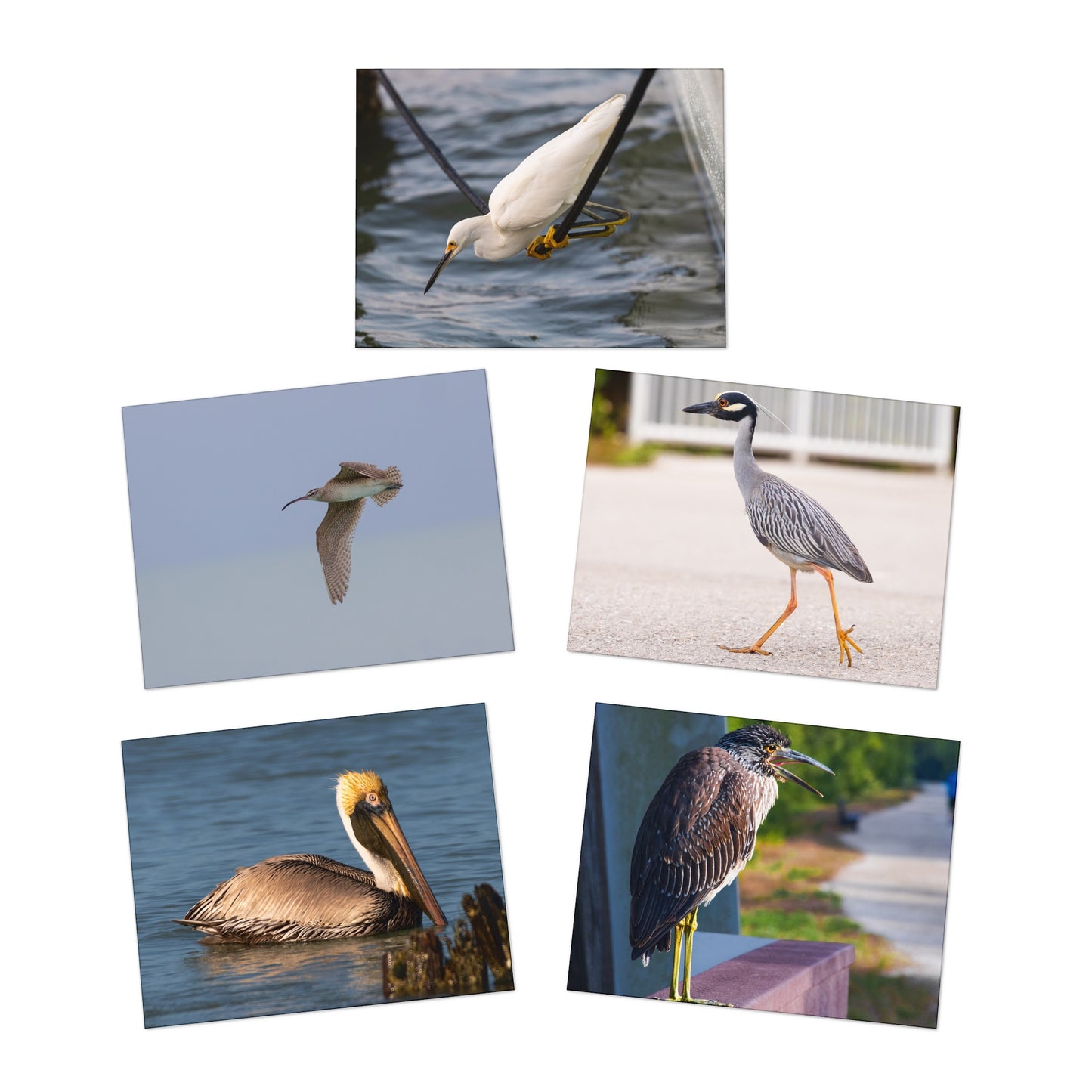 Photo Greeting Cards (5-Pack)